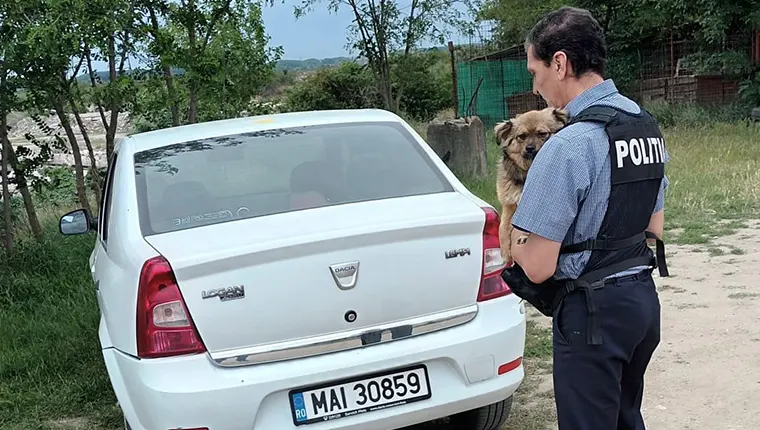 Adolescent din Vădăstrița, dosar penal după ce a asmuțit ogari asupra unei pisici