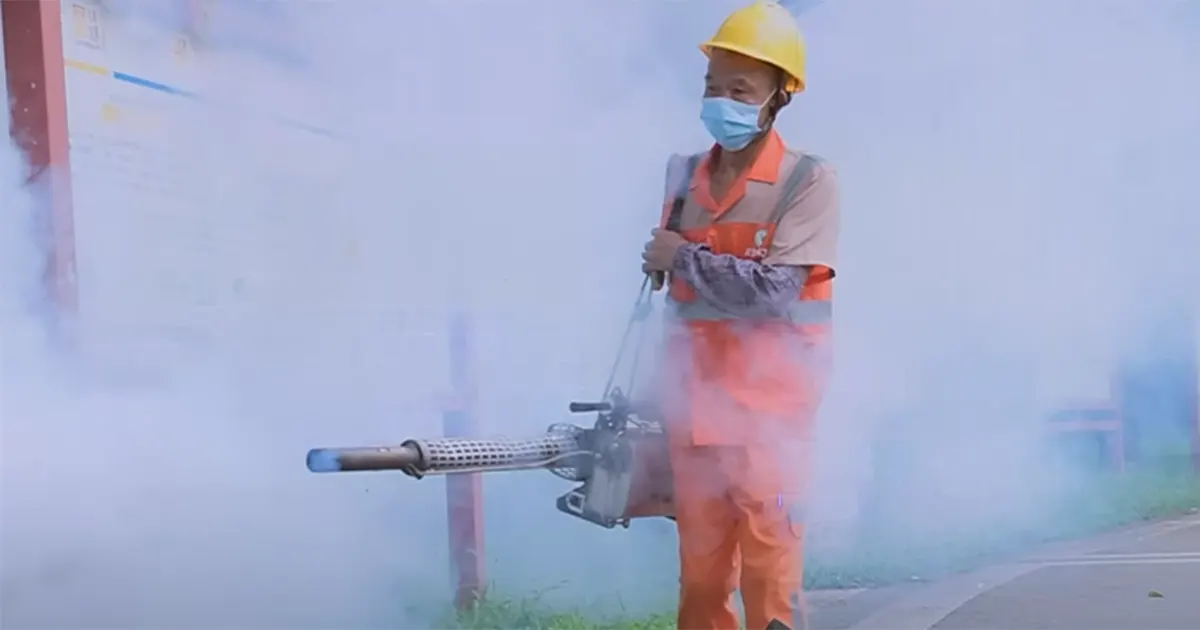 Primul caz de virus Chikungunya confirmat în România